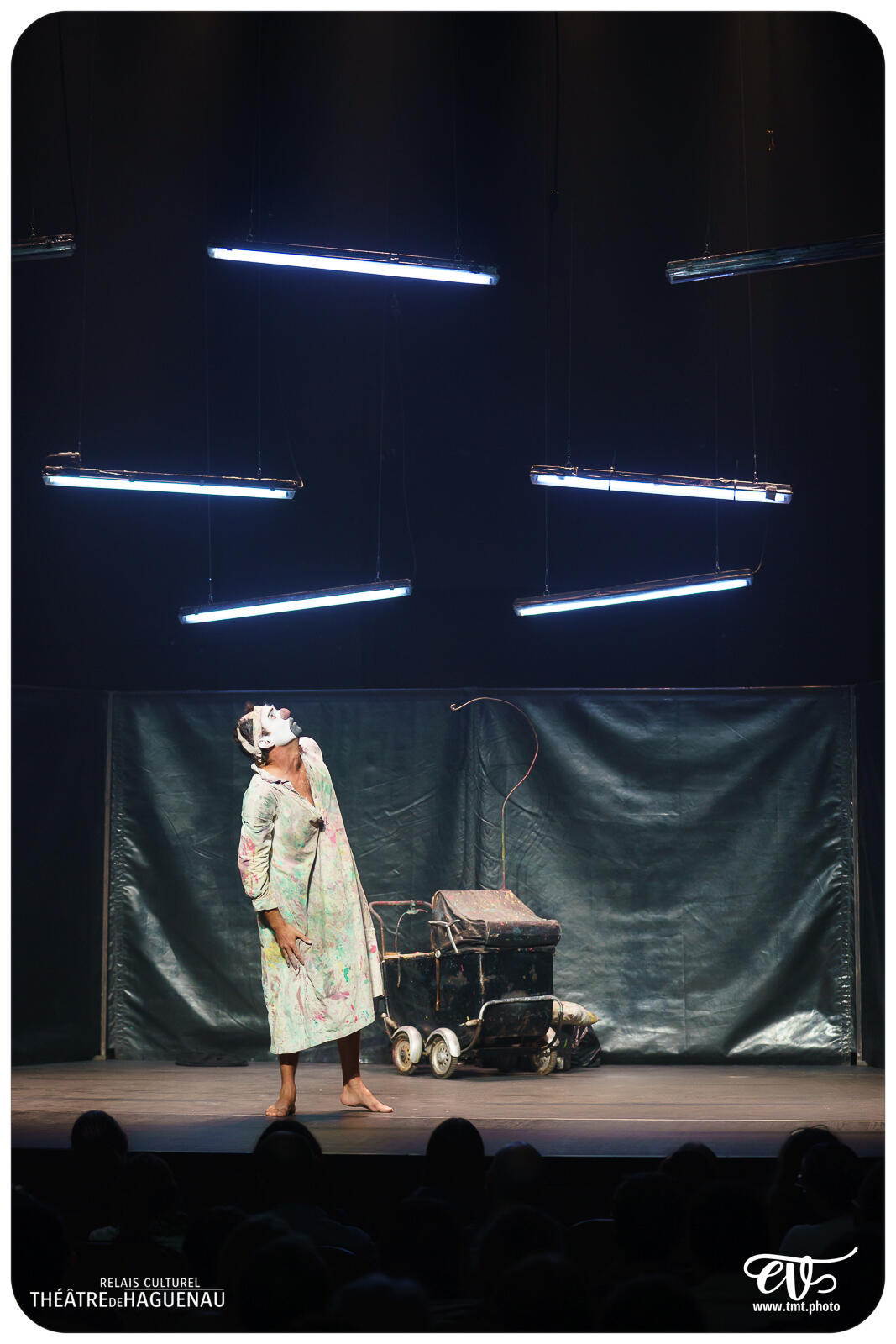 TROP PRÈS DU MUR (TYPHUS BRONX)